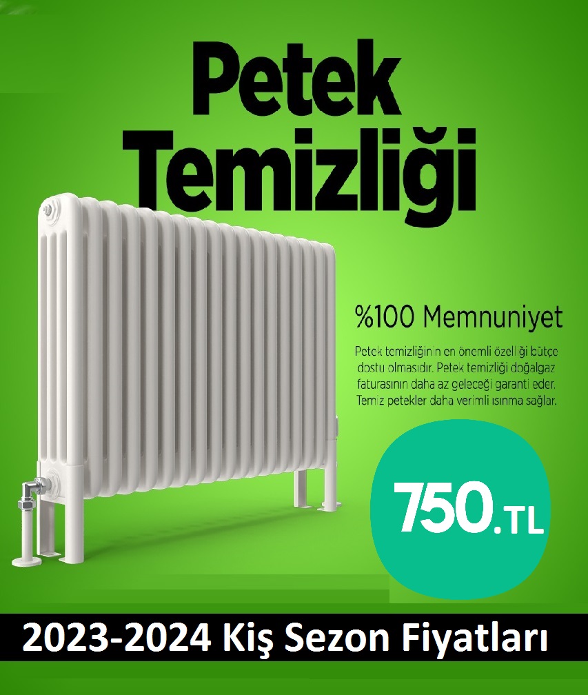 Acibadem Petek Temizliği Tek Fiyat Teklifi Al